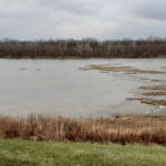 MAUMEE RIVER LIGHTING